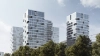 render