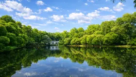 Фотографии  Среда на Кутузовском