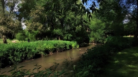 Фотографии  Среда на Лобачевского