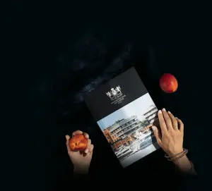 complex_catalog