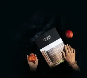 complex_catalog