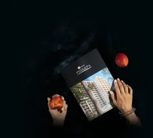 complex_catalog
