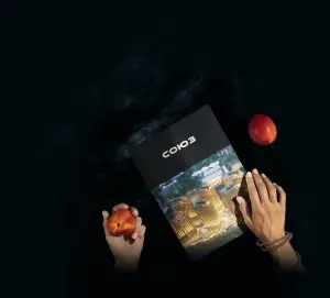 complex_catalog