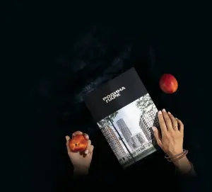 complex_catalog