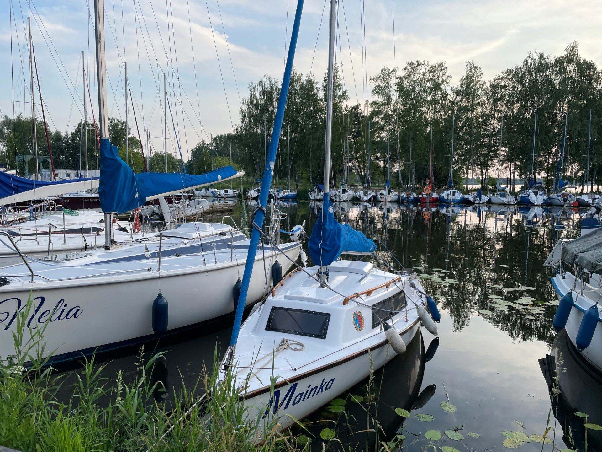 Фотографии  ЖК Bashni Element (Башни Элемент)