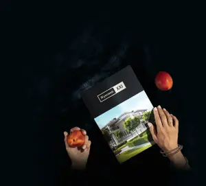 complex_catalog