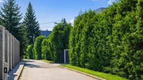 Фотографии  Коттеджный посёлок «Немчиновка»