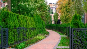 Фотографии  Park Fonte