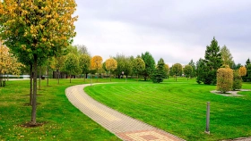 Фотографии  Park Fonte