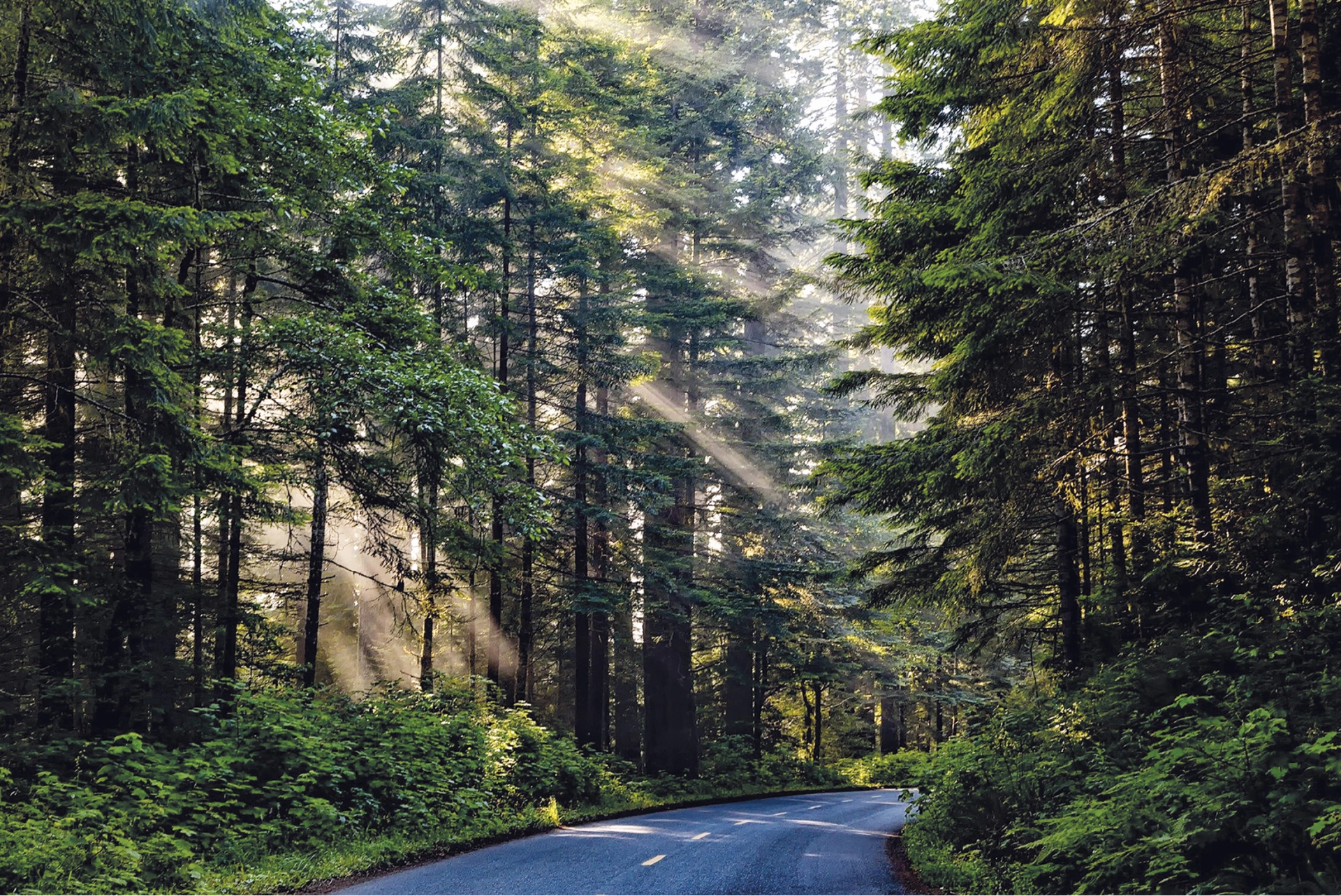 Фотографии  Посёлок «Нива» на Ильинском шоссе