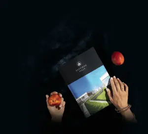 complex_catalog